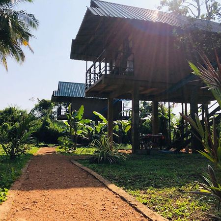 Sigiriya Paddy Field Hut Villa Room photo