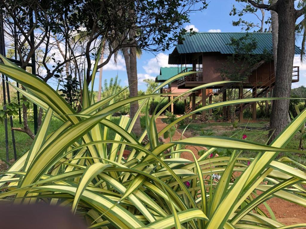 Sigiriya Paddy Field Hut Villa Exterior photo