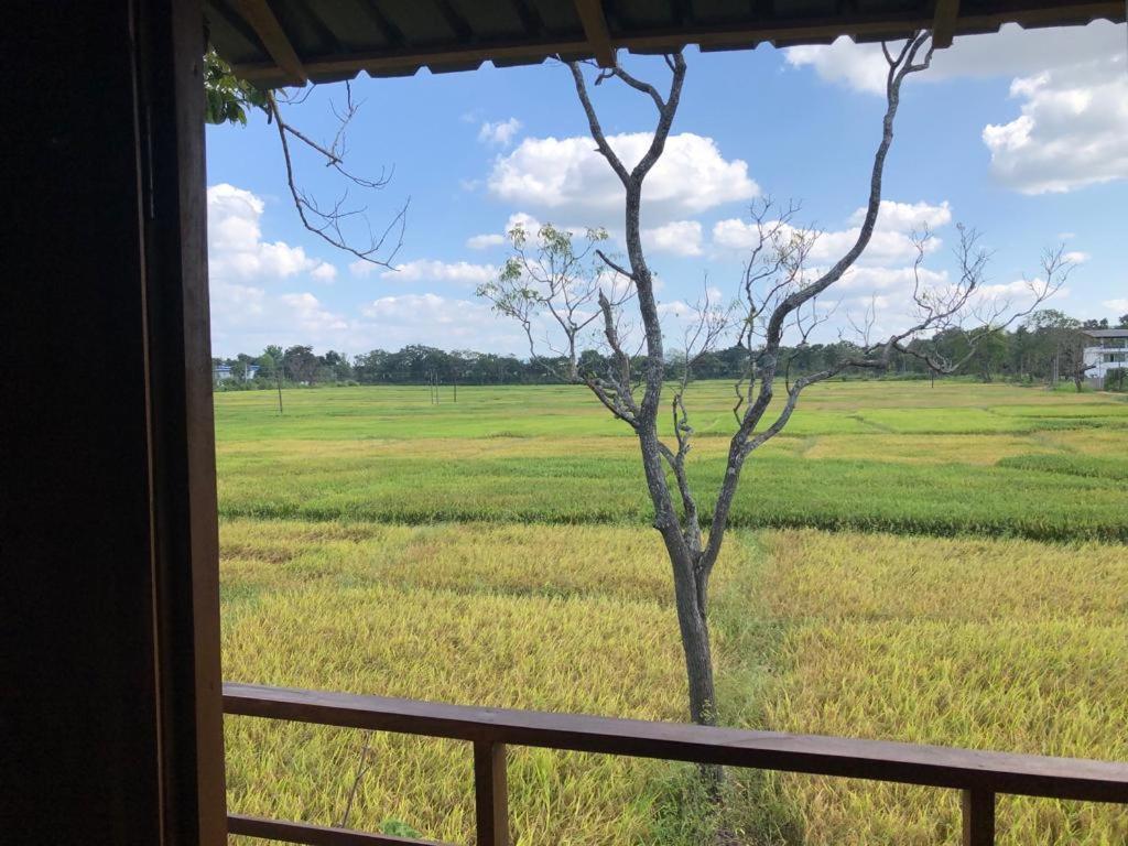 Sigiriya Paddy Field Hut Villa Exterior photo