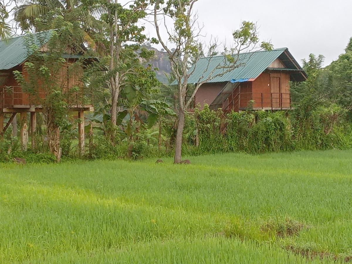 Sigiriya Paddy Field Hut Villa Exterior photo