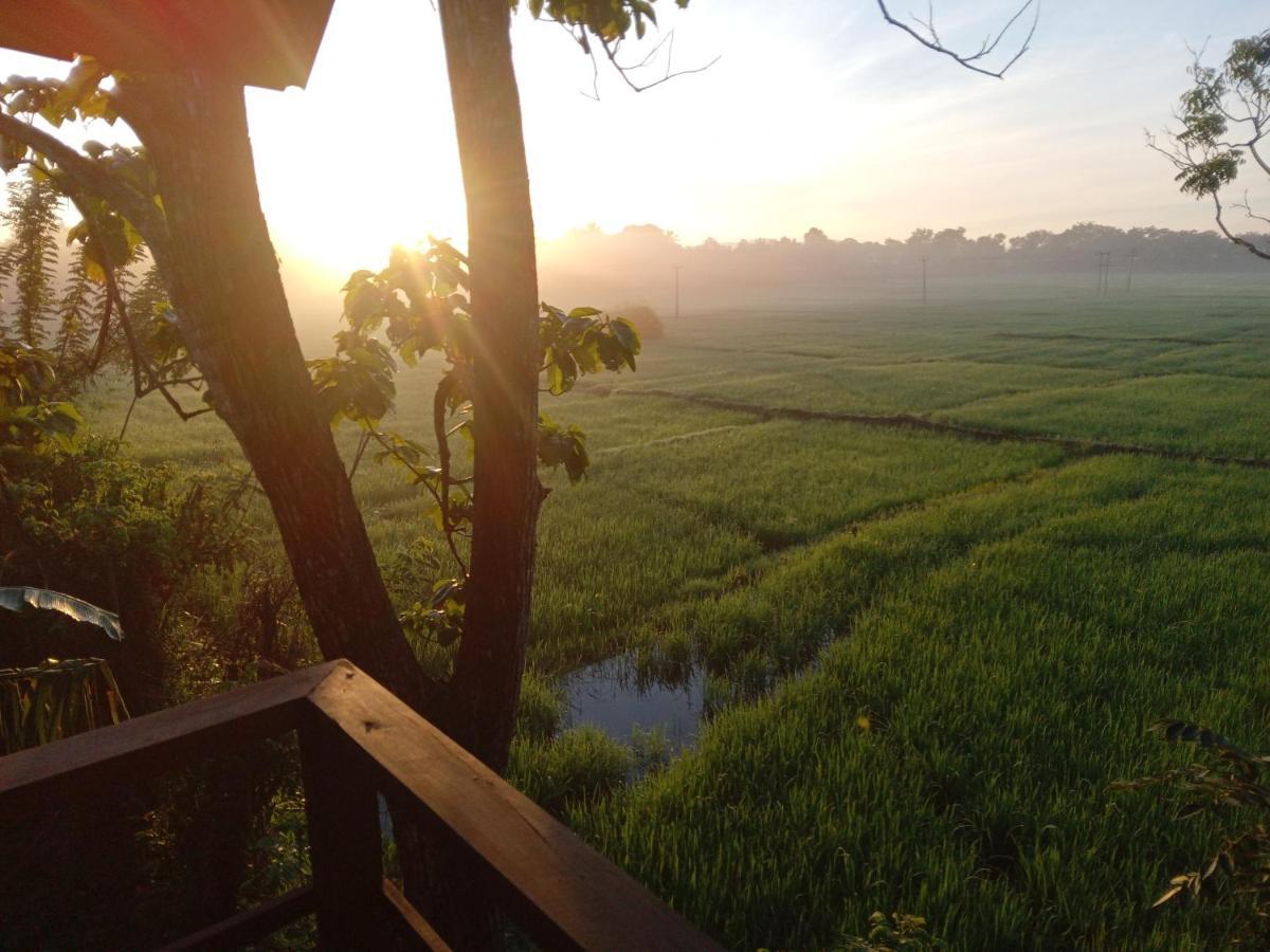 Sigiriya Paddy Field Hut Villa Exterior photo