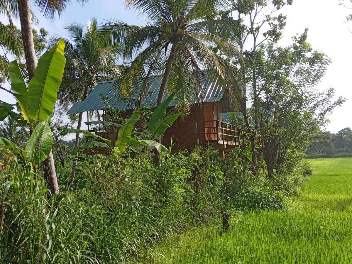 Sigiriya Paddy Field Hut Villa Exterior photo